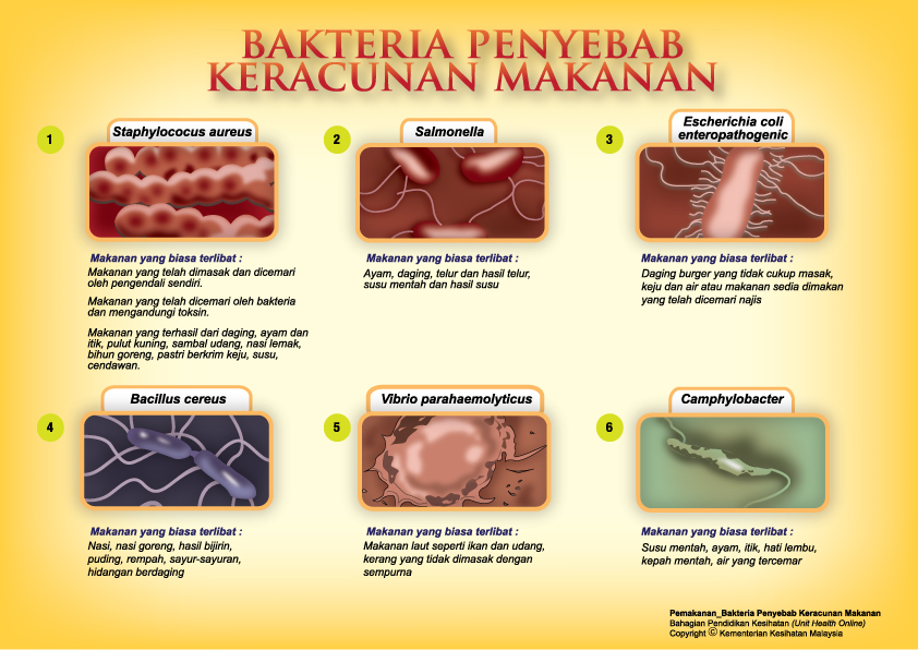 Kerosakan makanan punca Kemerosotan Alam